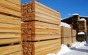 Руководство Хабаровского края собирается вкладываться в инвестиционные проекты по деревопереработке вместе с бизнесом из Южной Кореи 
