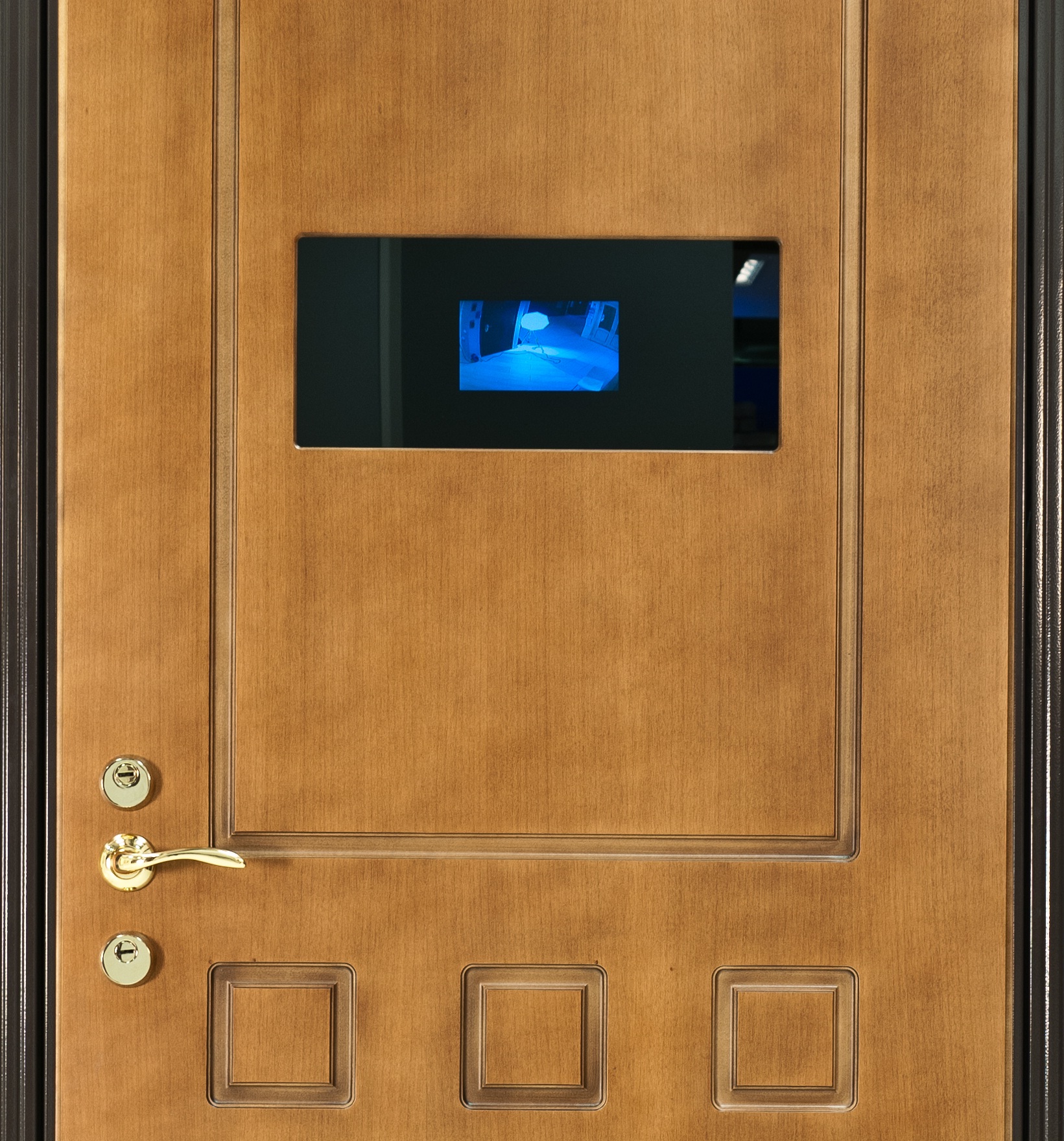 Установить глазок дверь. Входные двери с видеоглазком и монитором. Входная дверь с видеонаблюдением. Входная дверь со встроенным видеодомофоном. Дверь со встроенной камерой.