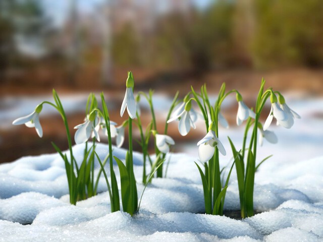 заморозки