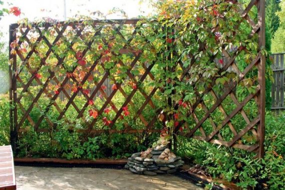 Какие шпалеры подойдут для вашего участка: виды и советы Какие шпалеры подойдут для вашего участка: виды и советы