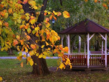 Почему выбирать беседку лучше всего осенью
