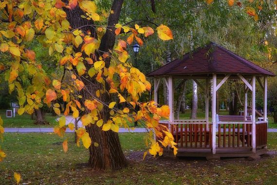 Почему выбирать беседку лучше всего осенью