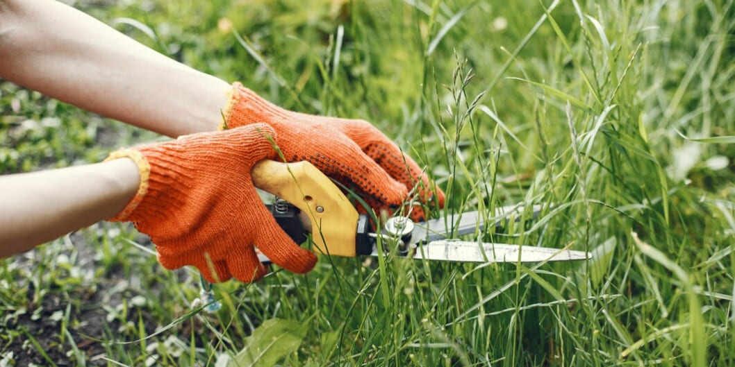 Загородный участок - устранение сорняков, новости для владельцев